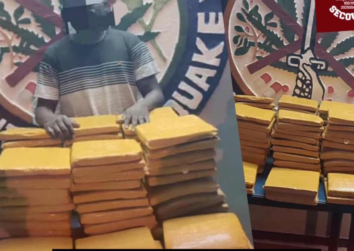 Côte d’Ivoire : un trafiquant de drogue interpellé, 66 blocs de cannabis saisis à Bouaké