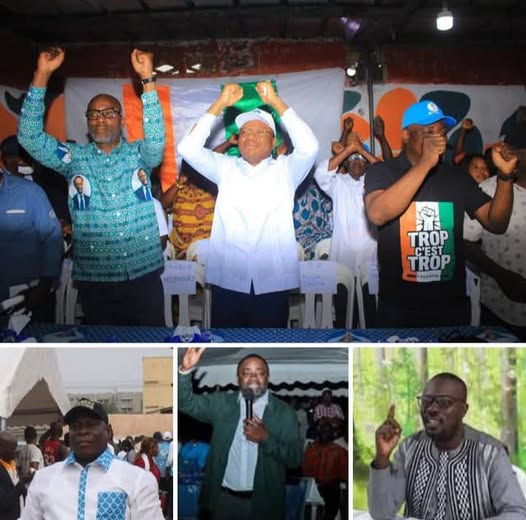 Veille de la marche du 9 août en Côte d'Ivoire : des cadres du PPA-CI convoqués à la police 