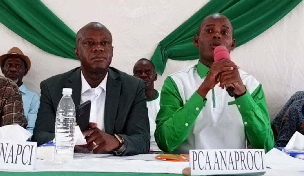 Assemblée générale de l’ANAPROCI : Kangah Koffi, reconduit à la tête de la structure