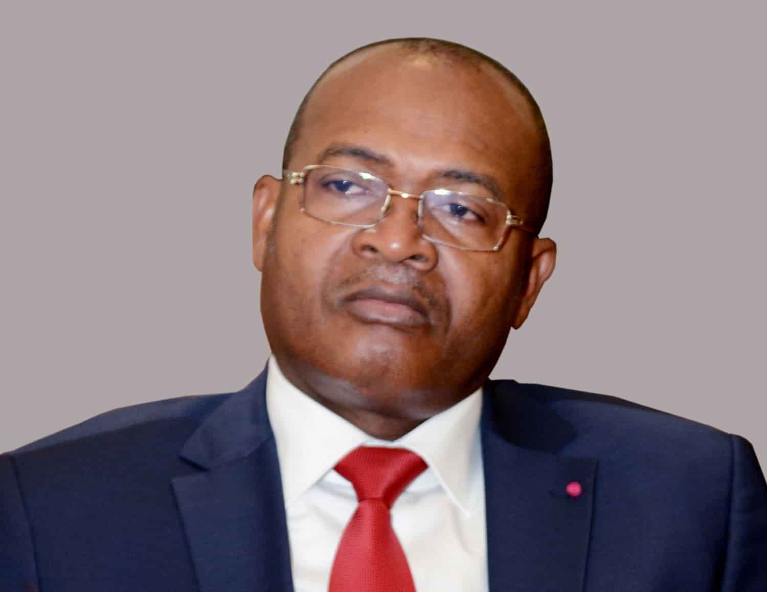 Cameroun : entre tension et espoir, la Commission de recensement entre en scène