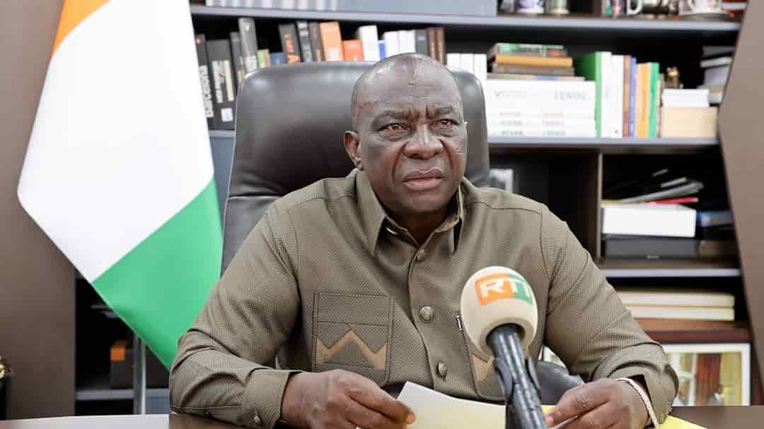 Côte d’Ivoire : La noix de coco, moteur du développement rural