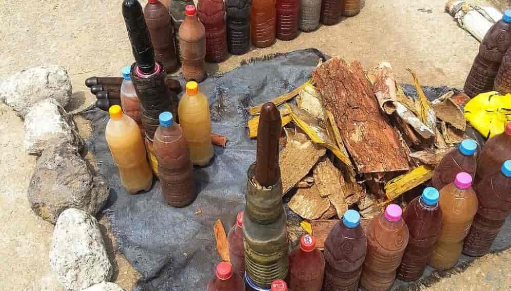  Awards de la Médecine Traditionnelle 2025 : les  savoirs ancestraux célébrés le 29 août 