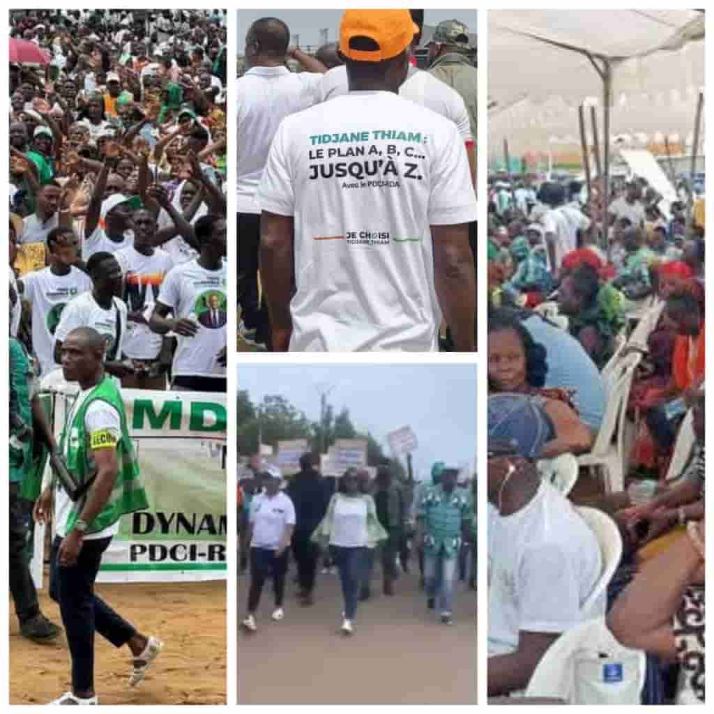 Radiation de Tidjane Thiam : le PDCI-RDA fait monter la pression dans plusieurs localités